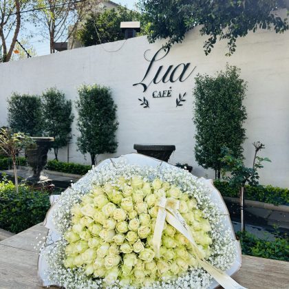 White Roses with Gyp