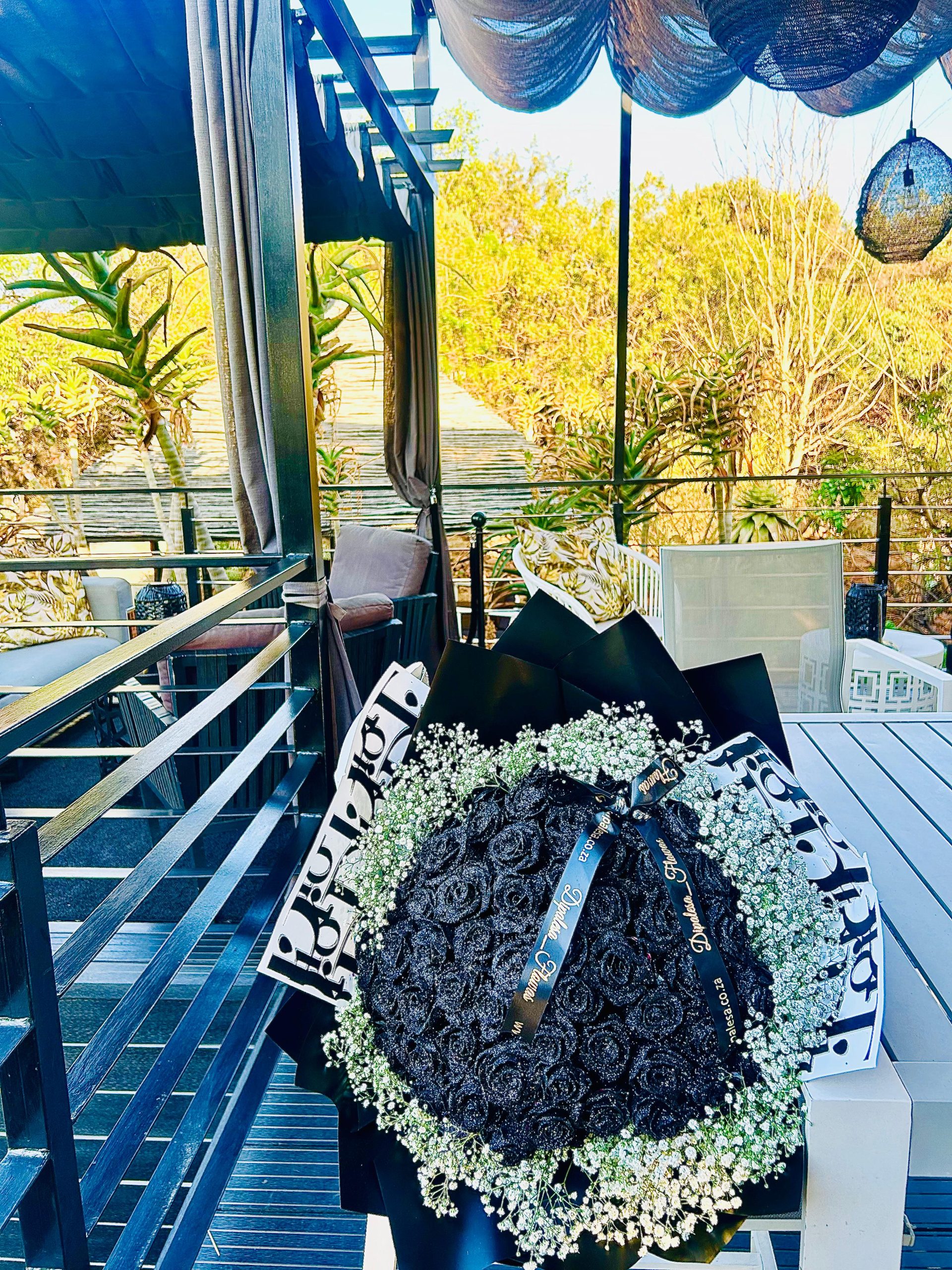 40 Black Roses with GYP