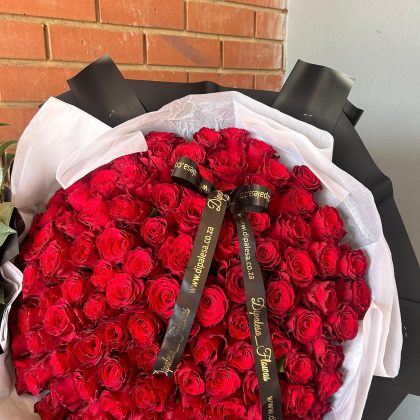 100 Red Roses