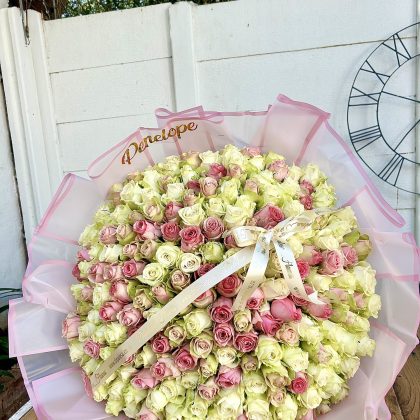 200 Imported Pink Roses