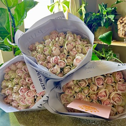 40 Pink Roses