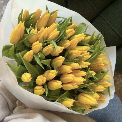 40 Yellow Tulips