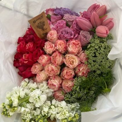 Soft Beauty