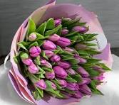 40 Pink Tulips
