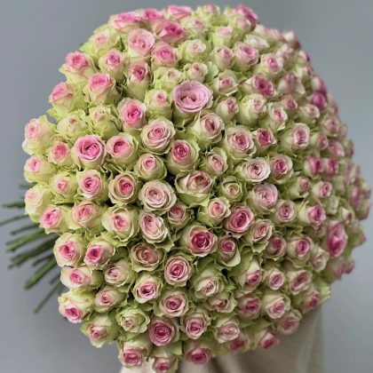 300 Pink Roses