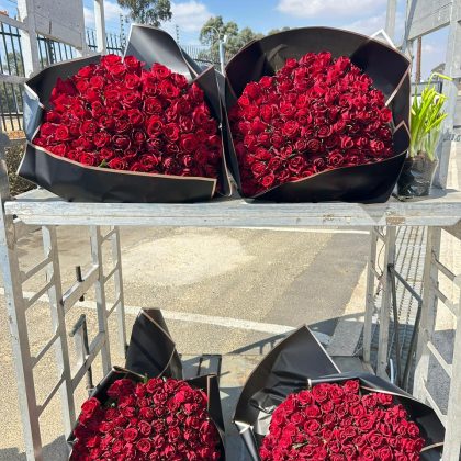 400 EverRed Roses
