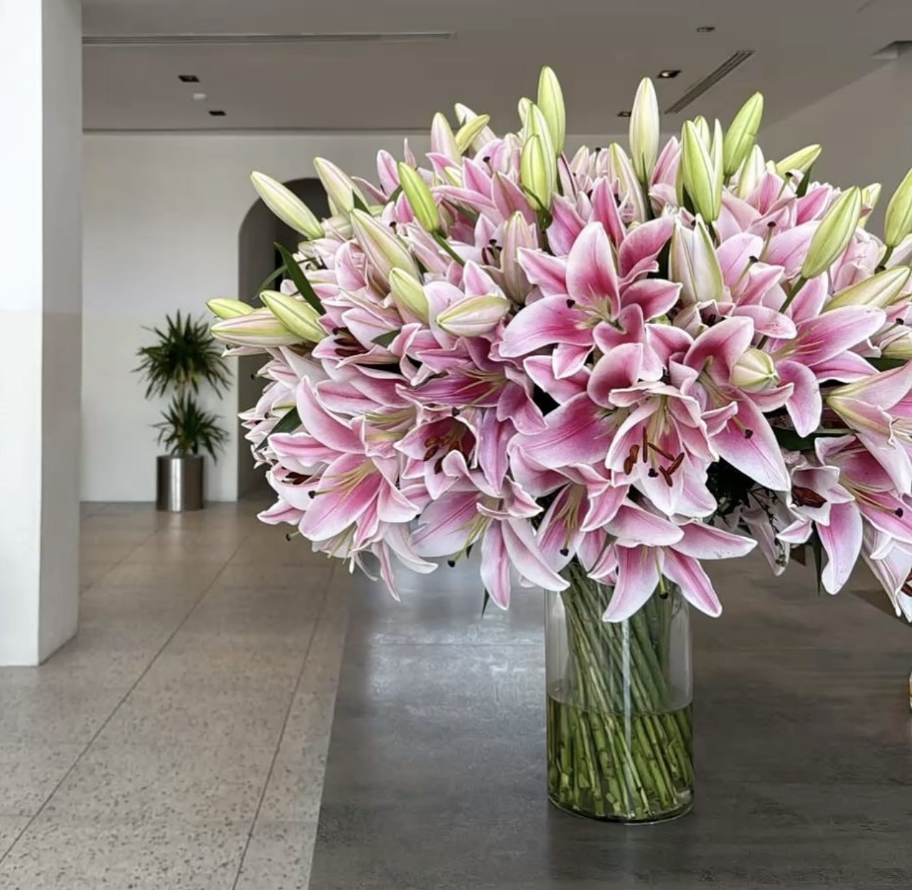100 Lillies In A Vase